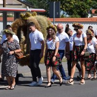 Zobacz w powiększeniu: Dożynki Gminne Baranów 2025 (38)